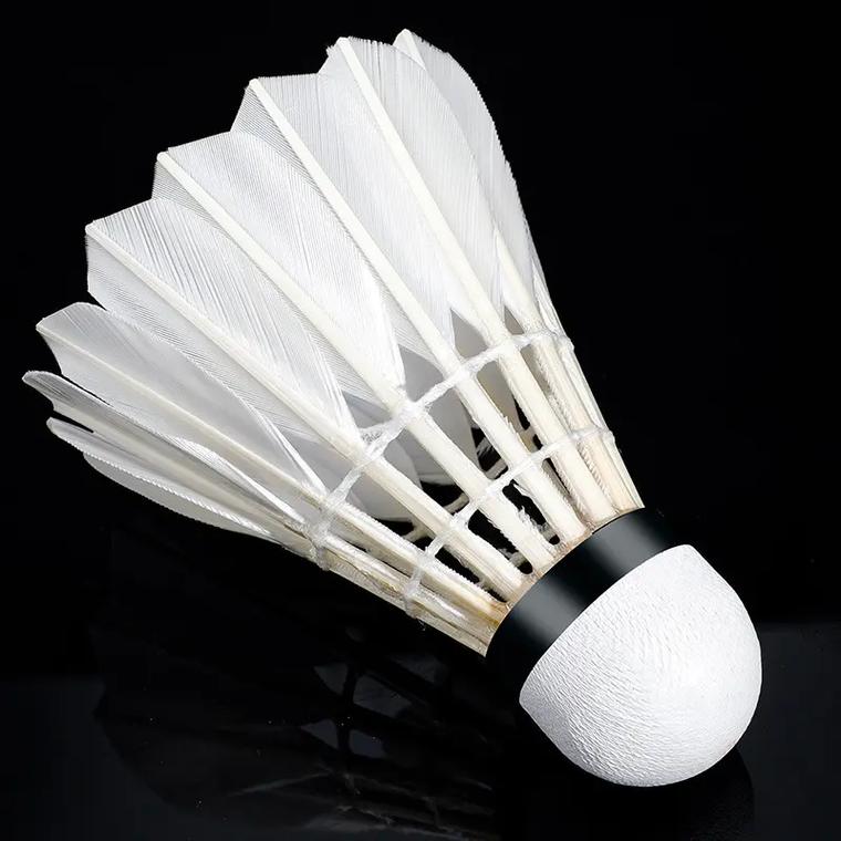 作能力上展 作能力上展