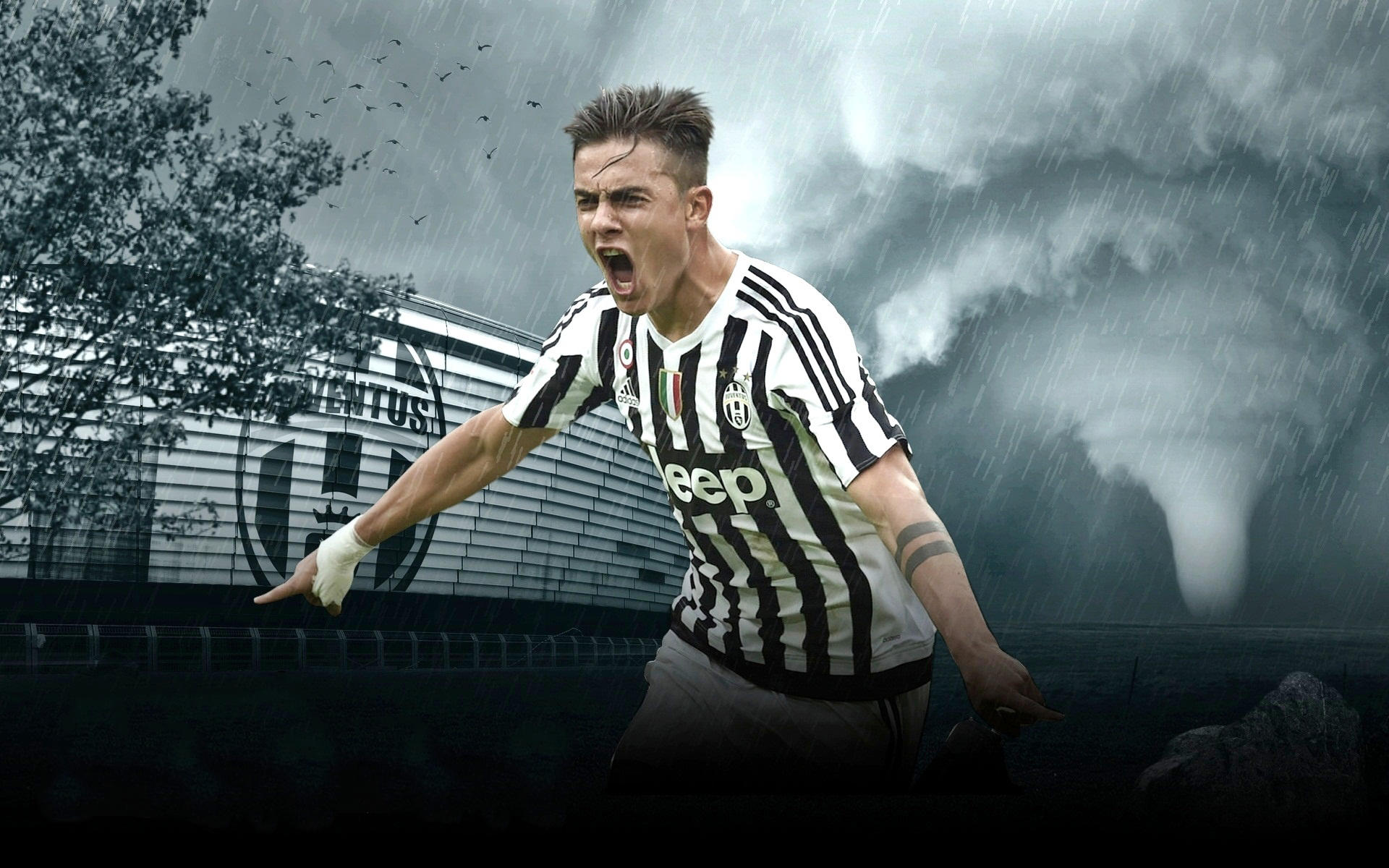 的近身术 的近身术